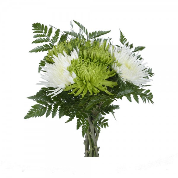 Offrez Ce Magnifique Bouquet De Chrysantheme Parfait En Toutes Occasions